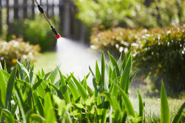 Void Injection for Cockroach Colonies in Pleasant Hill